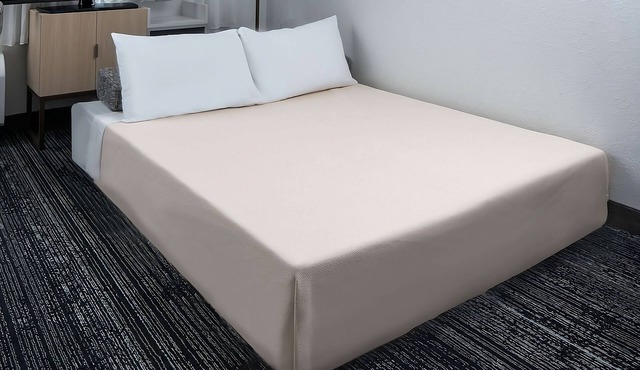 Convenient Stay! Fully-furnished, Pet-friendly, Near Washington Monument!