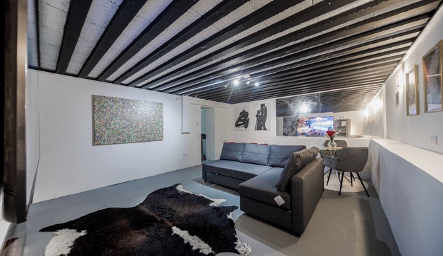 Converted Cinema/Art Room to Studio Apartment nn