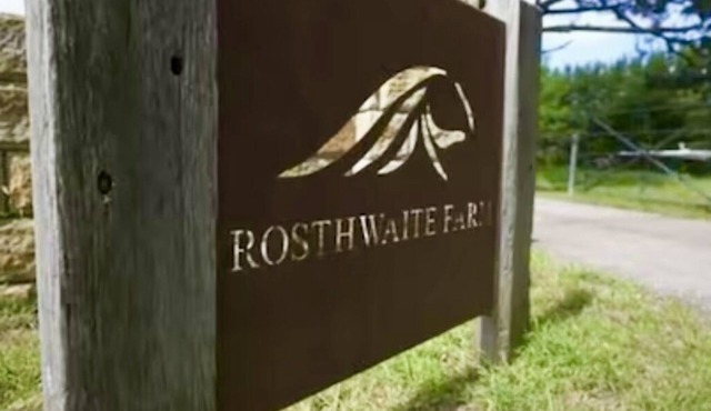 Converted milking shed on a working horse stud