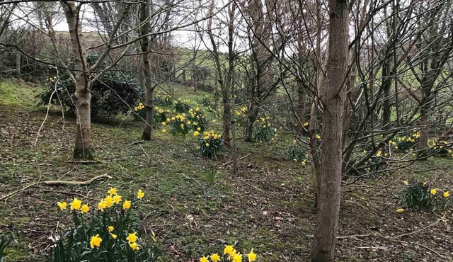 Converted Stone Barn -20 Acres - Farm Animals!