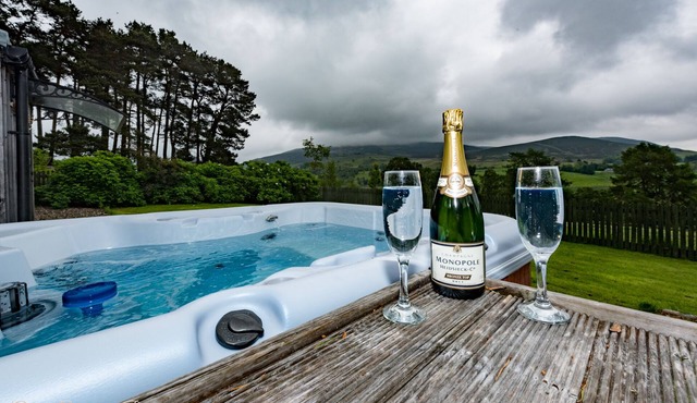 Coo Shed @ Dalnoid - private hot-tub, wifi, pet-friendly, mountain views,