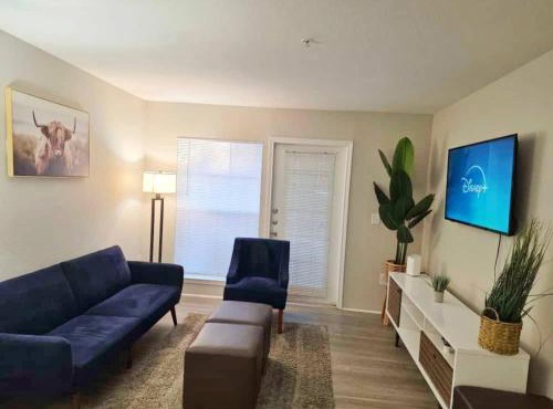 Cool 2Bed 1Bath 5 min walk to NRG and Medical Center