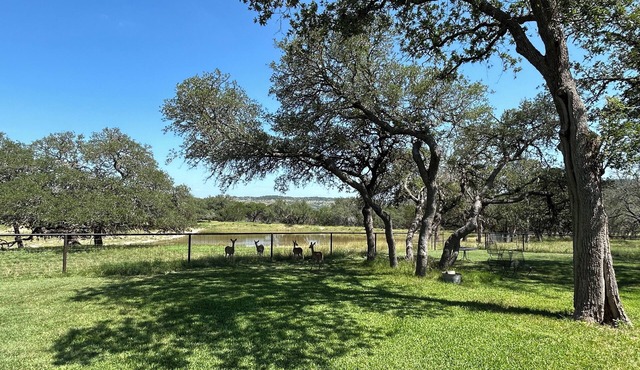 Cool cottage on 30 acres between Blanco and Luckenbach
