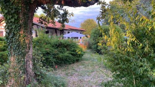Cool Landes