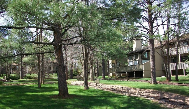 Cool Pines get away