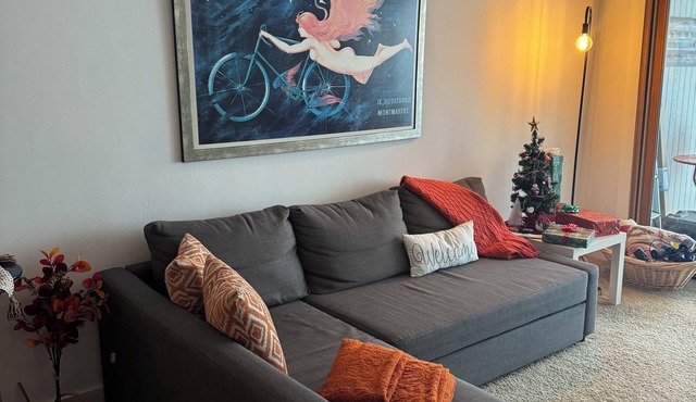 Cool ski condo in Ketchum- Sun Valley