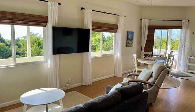 Cool studio in Naalehu with ocean views