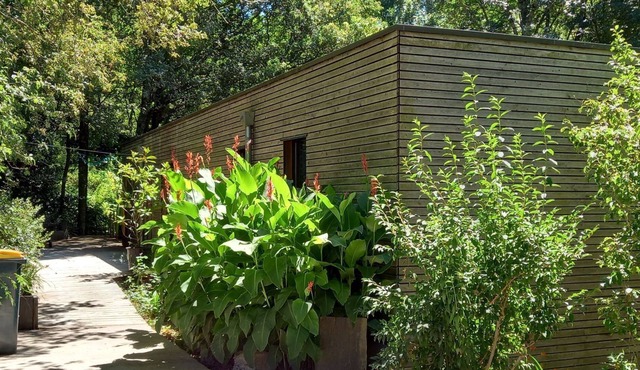 Cool under the trees and warm in the Nordic bath all year round