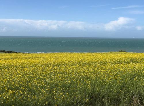 Coolcottage des 2 Caps