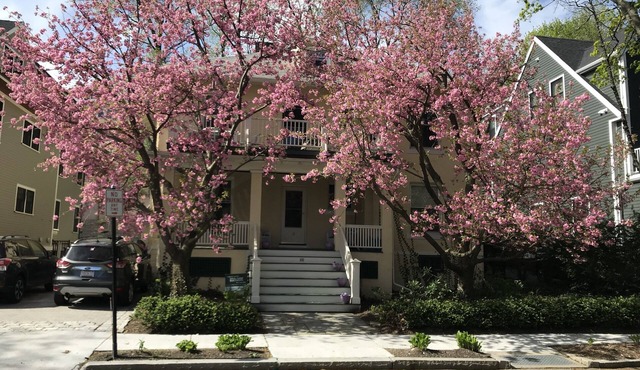 Coolidge Corner, Brookline 4-bedroom, 2-bath