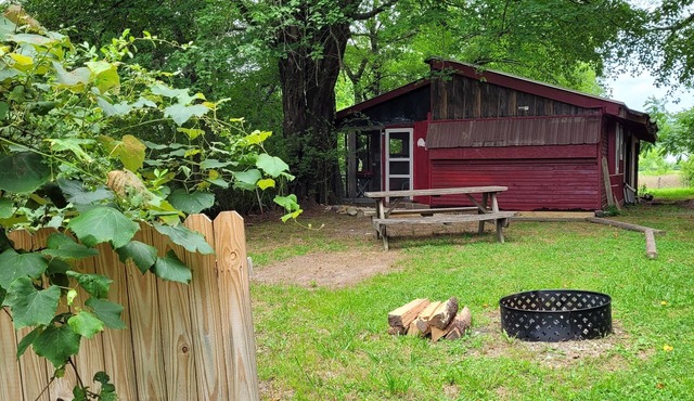 "Coop-Ahhh Cabana" ! "Glammock" campsite near Dupont State Forest!