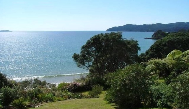 Coopers Beach Retreat- the black bach, beachfront and pet friendly