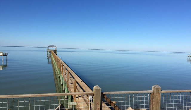 Copano Bayfront Home w 385' private pier w night lights!