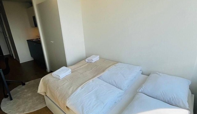 Copenhagen Getaway: Cute Studio for Two 2