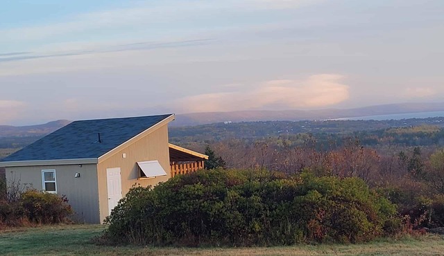 Copper's Cabin - Tiny house - -Minutes to amenities but feels like miles away!