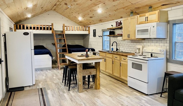 Copperhead Cabin #2. Direct trail access! Pet friendly