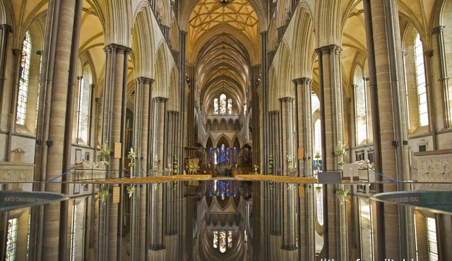 Copse Cottage - edge of village, countryside views, pub and shop 10 minute walk