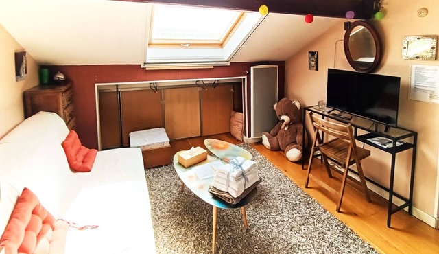 Coquet 2 Pièces Sous les Toits