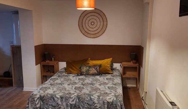 Coquette and independent room, 2 steps from Chambord, the castles and Beauval