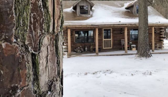 Cora's Main Log Cabin