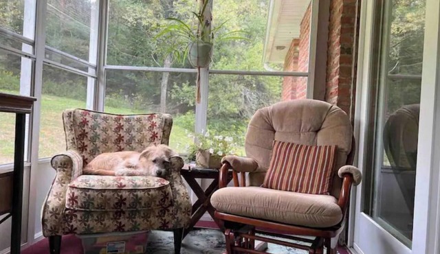 Corey Guest House close to Dark Sky’s & ATV Trail