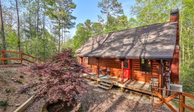 Corkscrew Creek | Ellijay, GA