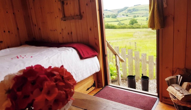 Cornflour Cozy Cabin Retreat