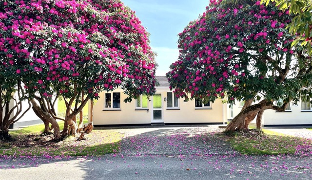Cornish countryside lodge in quiet cul de sac