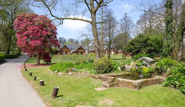 Cornish Holiday - 100 Hengar Manor