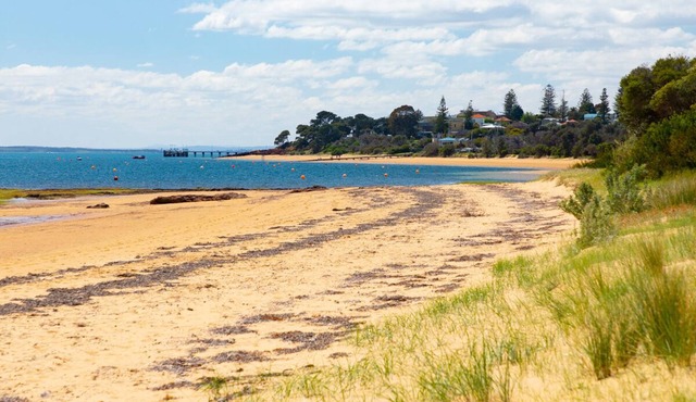 Cornwall Cottage Cowes - 50 Metres to the Water's Edge!