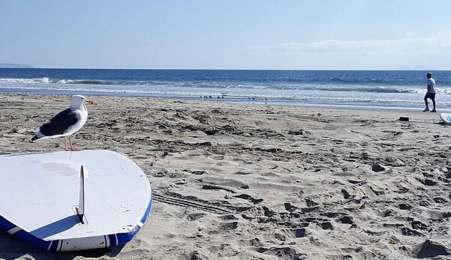 Coronado beach life!