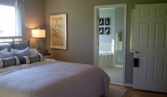 Corporate Housing/Relocation/1BRM/1Ba/30D/IAD