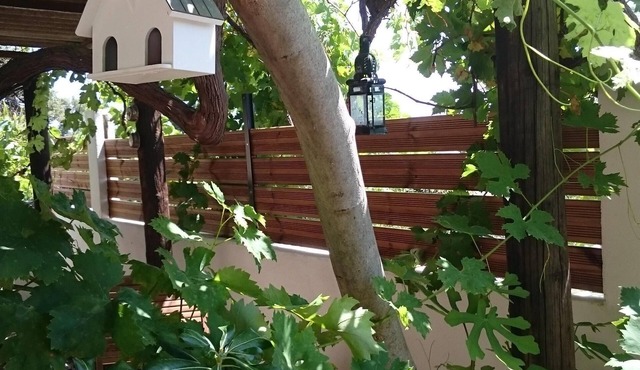 Corsica, between sea and mountains! "U Zifiru"