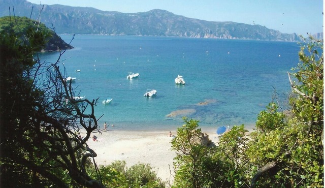 CORSICA, Gulf of Porto, house with terrace and garden, magnificent sea view