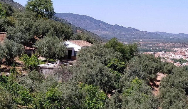Cortijo las lagunillas