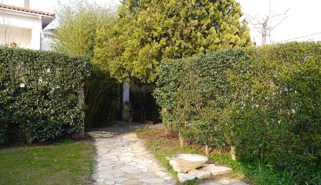 Corupsis house 4 people