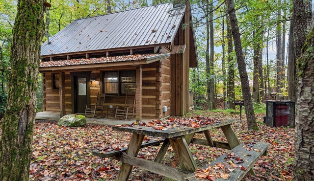 Cosby*Cozy*Romantic*Creekside*Fireplace*Hot Tub