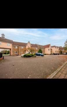 Cost Village flat in Hockley