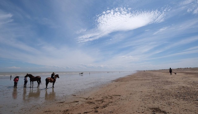 Cosy 17th Century Hideaway By The Sea With Walled Sun-Trap Garden