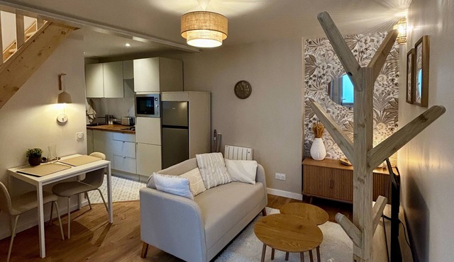 Cosy 24 - Scandinavian apartment downtown Le Mans