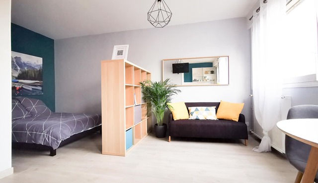 Cosy 30m² in the heart of Villeurbanne