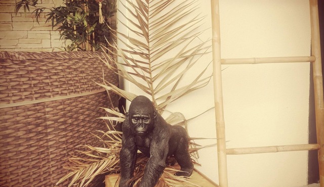 Cosy accommodation* private heated pool and spa