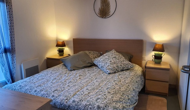 Cosy, air-conditioned apartment near the Casteljaloux Spa 5min from CenterParcs