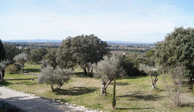Cosy alpilles in the heart of Carrigue