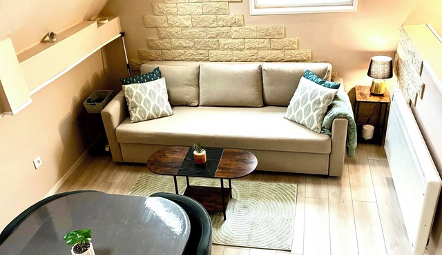 Cosy and chic detached house near Strasbourg in a quiet location