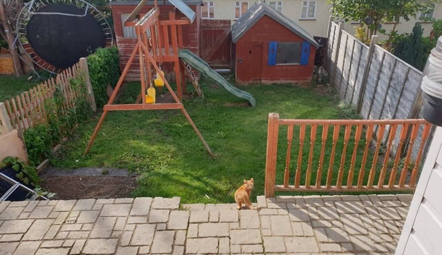 Cosy and clean second floor apartment