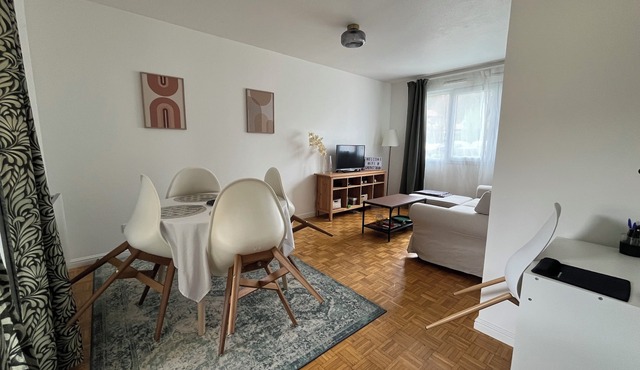 Cosy and Comfortable Apartment