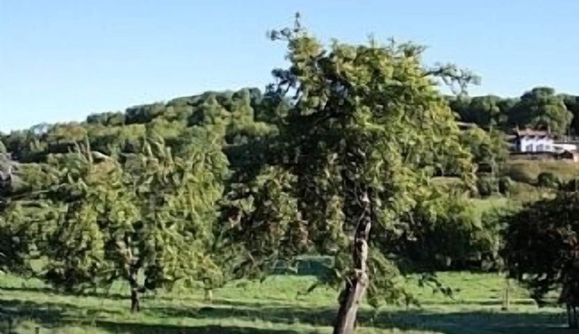 Cosy and Comfortable Cottage with the Best Views of the Wye Valley