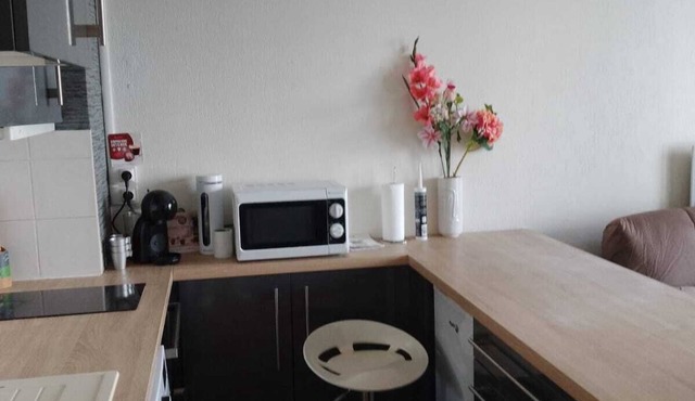 Cosy and quiet studio between city center and nature