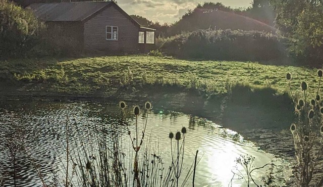 Cosy and secluded cabin in mansion grounds